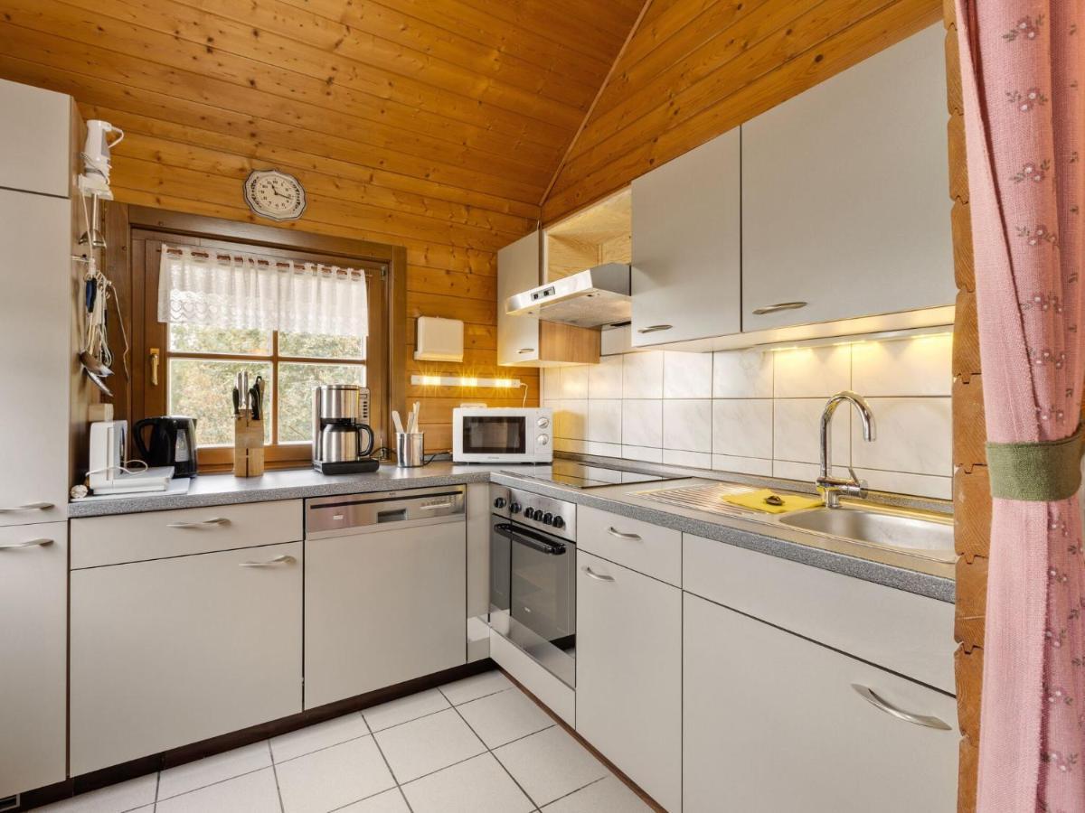 Chalet In Hinterrod Thuringia With Sauna Eisfeld Ngoại thất bức ảnh