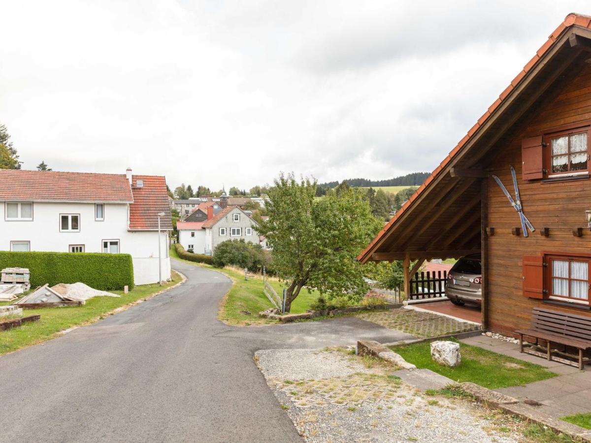 Chalet In Hinterrod Thuringia With Sauna Eisfeld Ngoại thất bức ảnh